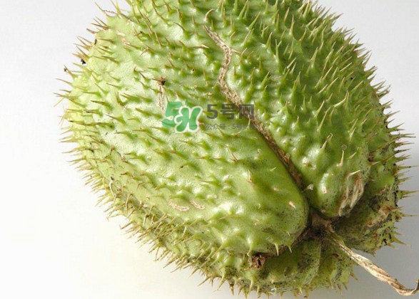刺果番荔枝多少錢一斤？刺果番荔枝哪里有賣？