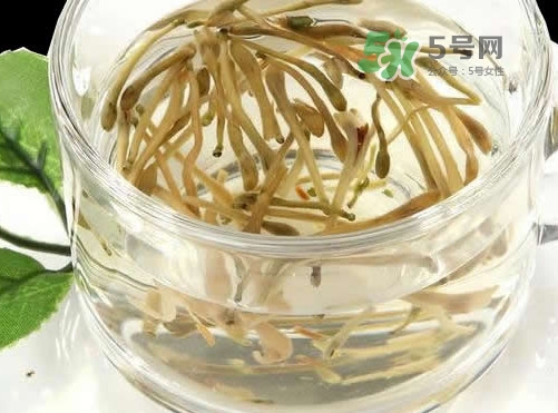 金銀花茶要怎樣泡才好喝？金銀花茶最佳泡茶水溫是多少