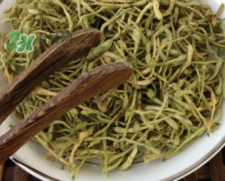 金銀花茶苦嗎？喝金銀花茶需要注意什么