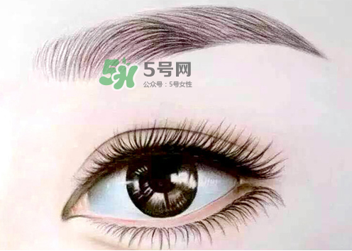 三伏天能紋眉嗎？三伏天紋眉毛好嗎？