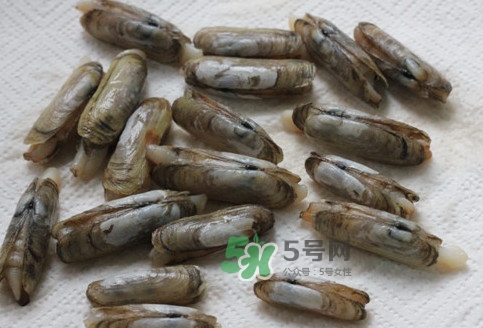 蟶子多少錢(qián)一斤？蟶子為什么撒鹽就出來(lái)