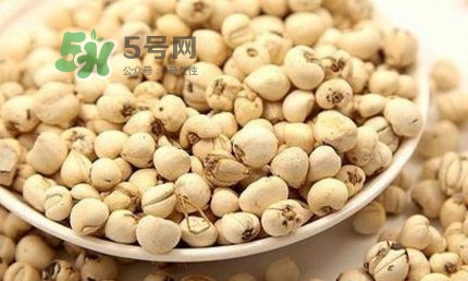 川貝母可以直接吃嗎？川貝母可以泡水喝嗎