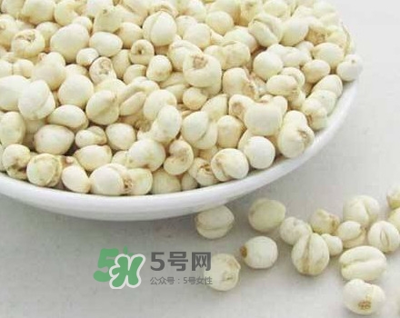 川貝母是川貝嗎？川貝母是酸性還是堿性？