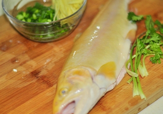 金鱒魚清蒸為什么變黑？食用金鱒魚有什么好處