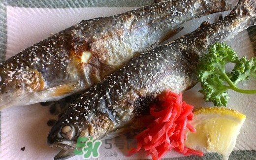 鱒魚(yú)是三文魚(yú)嗎？鱒魚(yú)是什么魚(yú)