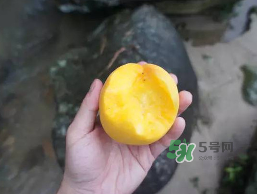 炎陵黃桃什么時(shí)候成熟？炎陵黃桃好吃嗎？