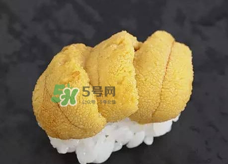 海膽怎么處理？海膽可以生吃嗎？