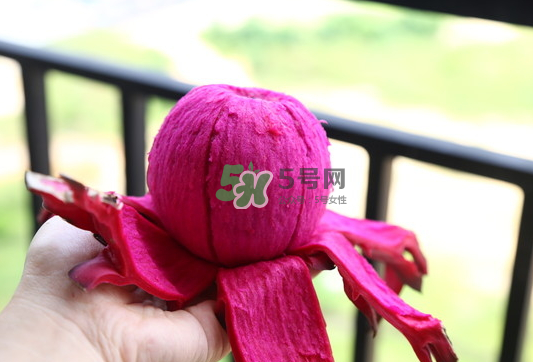 紅心火龍果能天天吃嗎？每天吃一個紅心火龍果好嗎？