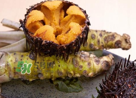 被海膽刺到怎么辦？吃海膽對(duì)身體有什么好處