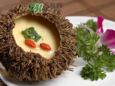 海膽死了還能吃嗎？海膽不能跟什么一起吃