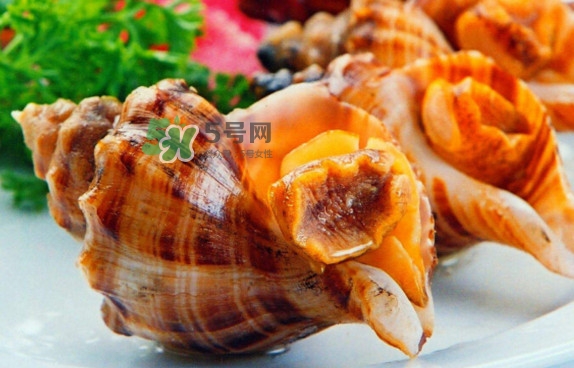 為什么海螺殼里面會有聲音？海螺和韭菜能不能一起吃