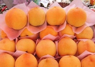 錦繡黃桃什么時(shí)候成熟？錦繡黃桃?guī)自鲁墒欤?><p><strong>錦繡黃桃什么時(shí)候成熟？錦繡黃桃?guī)自鲁墒欤?/strong></p></a></li> <li><a href=