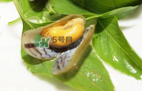 薄殼怎么讀？薄殼怎么洗干凈