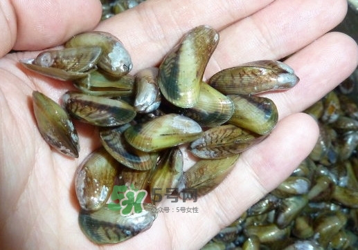 薄殼米是什么？薄殼怎么炒好吃？
