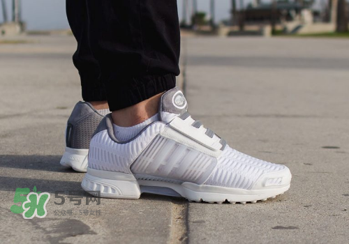 adidas climacool los angeles洛杉磯別注款怎么買_在哪買？