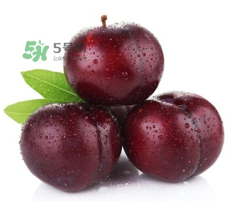 黑布林可以泡酒嗎？黑布林怎么吃？