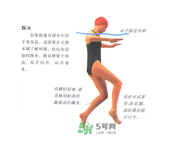 游泳怎么踩水？游泳踩水技巧圖解