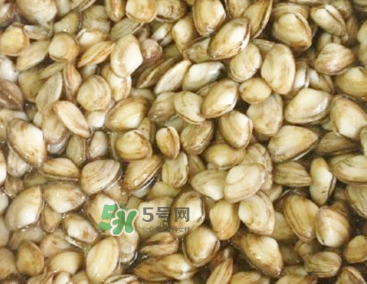 海瓜子怎么做好吃？海瓜子怎么清洗