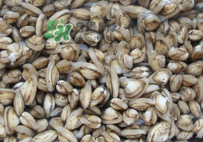 海瓜子煮多久能熟？海瓜子為什么放在水里殼不張開