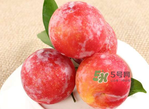 紅布林孕婦可以吃嗎？孕婦可以吃紅布林嗎？