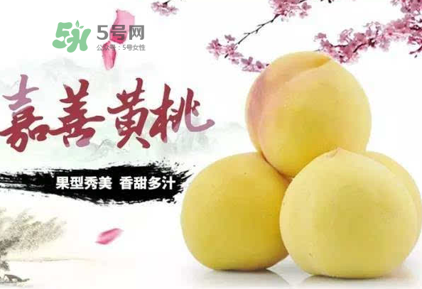 嘉善黃桃多少錢(qián)一斤？嘉善黃桃的上市時(shí)間