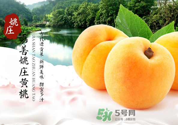 嘉善黃桃多少錢(qián)一斤？嘉善黃桃的上市時(shí)間