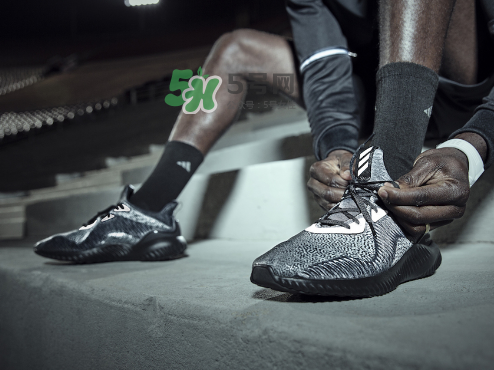 adidas alphabounce reflective阿爾法小椰子跑鞋夜光版多少錢？