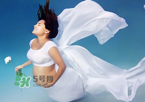 家里有寵物狗對(duì)孕婦好嗎？懷孕了家里有寵物要緊嗎？