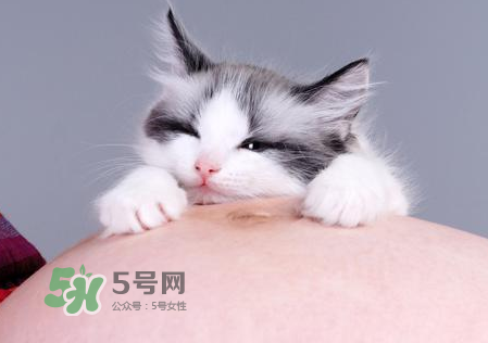 孕婦被貓抓了怎么辦？孕婦被貓抓傷了對寶寶有什么影響？