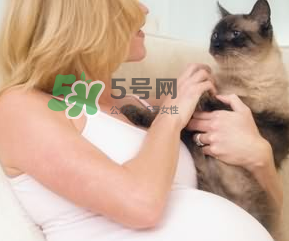 孕婦被貓抓了怎么辦？孕婦被貓抓傷了對寶寶有什么影響？