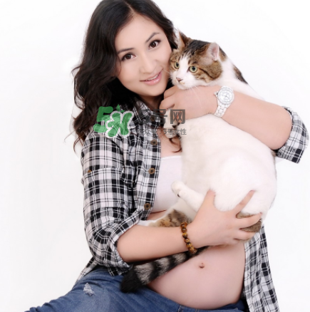 孕婦被貓抓了怎么辦？孕婦被貓抓傷了對寶寶有什么影響？