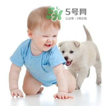 寵物對(duì)嬰兒的影響 寵物對(duì)嬰兒的危害有哪些？