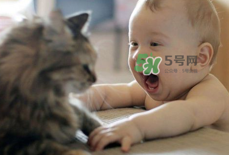 嬰兒被貓抓了怎么辦？嬰兒被貓咪咬了怎么辦？