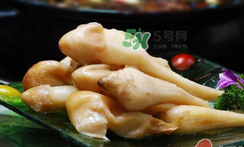 雞樅菌什么時(shí)候有？雞樅菌生長(zhǎng)在什么地方