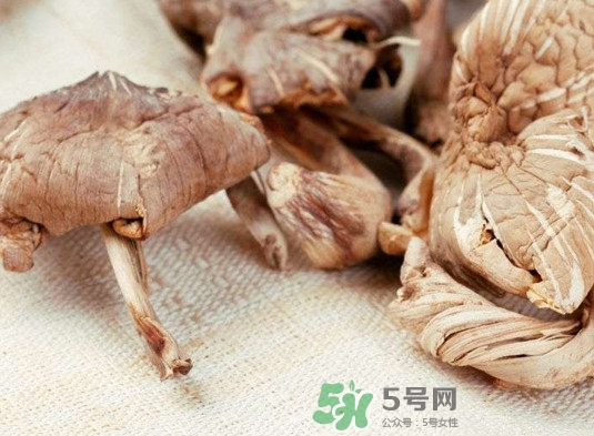 雞樅菌有毒嗎？雞樅菌不能和什么一起吃？