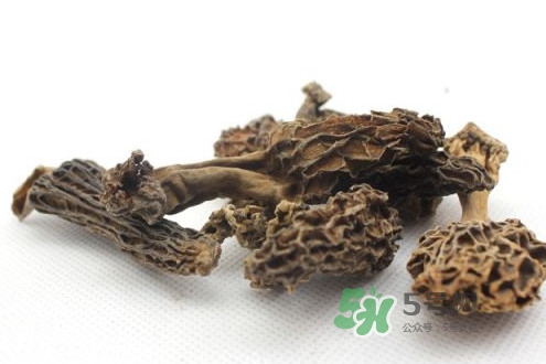 羊肚菌能治什么??？羊肚菌能冷凍保鮮嗎