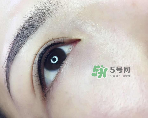 美瞳線有幾種款式？美瞳線有小尾巴嗎？