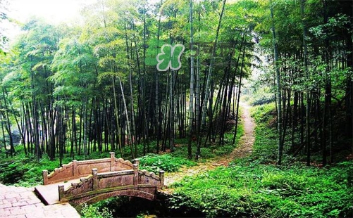 夏天去哪里旅游最好？夏天旅游哪里涼快？