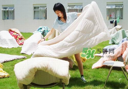 三伏天能曬被子嗎？三伏天曬被子好嗎？