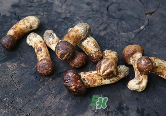 新鮮松茸怎么吃？松茸怎么吃最有營(yíng)養(yǎng)