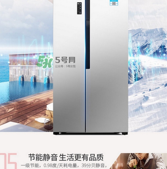 冰箱究竟該買幾個(gè)門的？什么牌子的冰箱最好