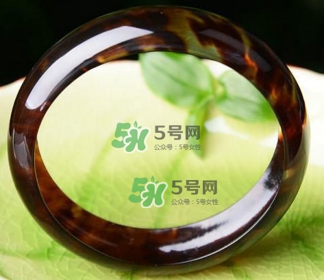 玳瑁是什么？玳瑁是國(guó)家保護(hù)動(dòng)物嗎？