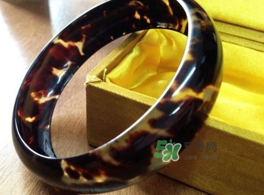 玳瑁標(biāo)本有收藏價值嗎？玳瑁的功效與作用