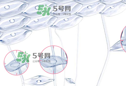 嬌韻詩青春賦活兩件套裝多少錢？嬌韻詩全新青春賦活系列怎么樣？