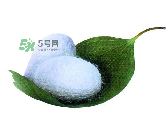 蠶繭多少錢一斤2017？2017年蠶繭價格是多少？