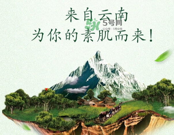 采之汲是什么牌子？采之汲是什么檔次？