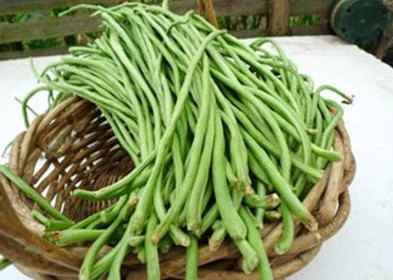 缸豆多少錢一斤2017？缸豆能和韭菜一起吃嗎？