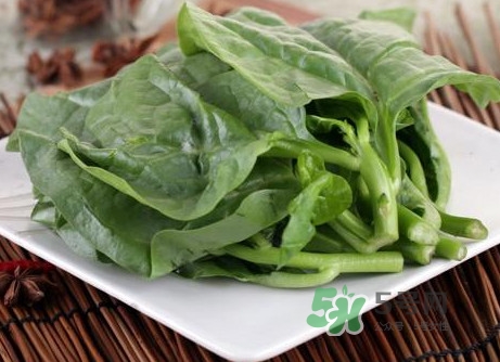 木耳菜和什么食物相克？木耳菜不能和什么一起吃