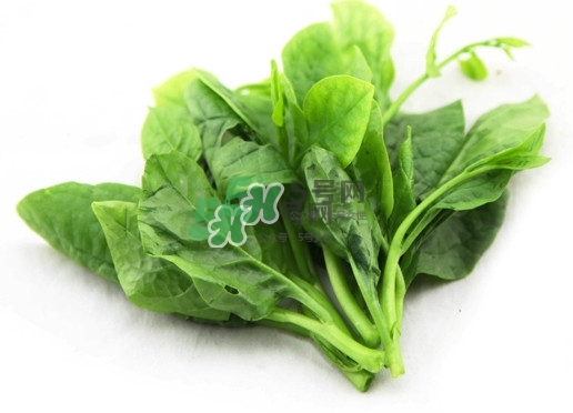 木耳菜怎么清洗？木耳菜怎么擇？