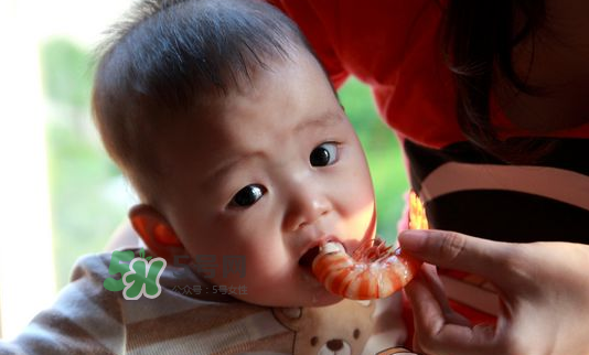 寶寶吃蝦不能和什么一起吃？寶寶吃蝦的注意事項